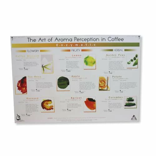 Art Of Aroma Set Of 4 Posters SCAA