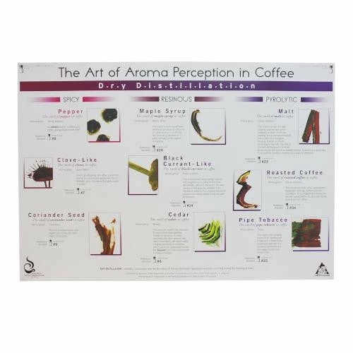 Art Of Aroma Set Of 4 Posters SCAA